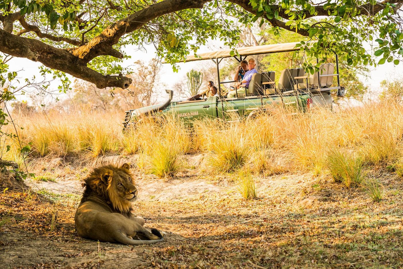 Zambia Is Calling: YPA Has Land on the Table and a Trip in the Offer